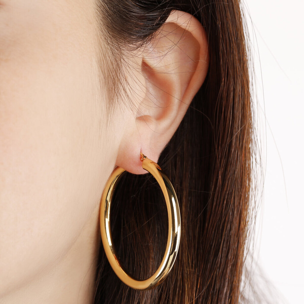 Golden Pendant Hoop Earrings