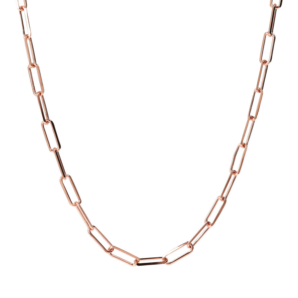 Paperclip Necklace with Elongated Forzatina Chain