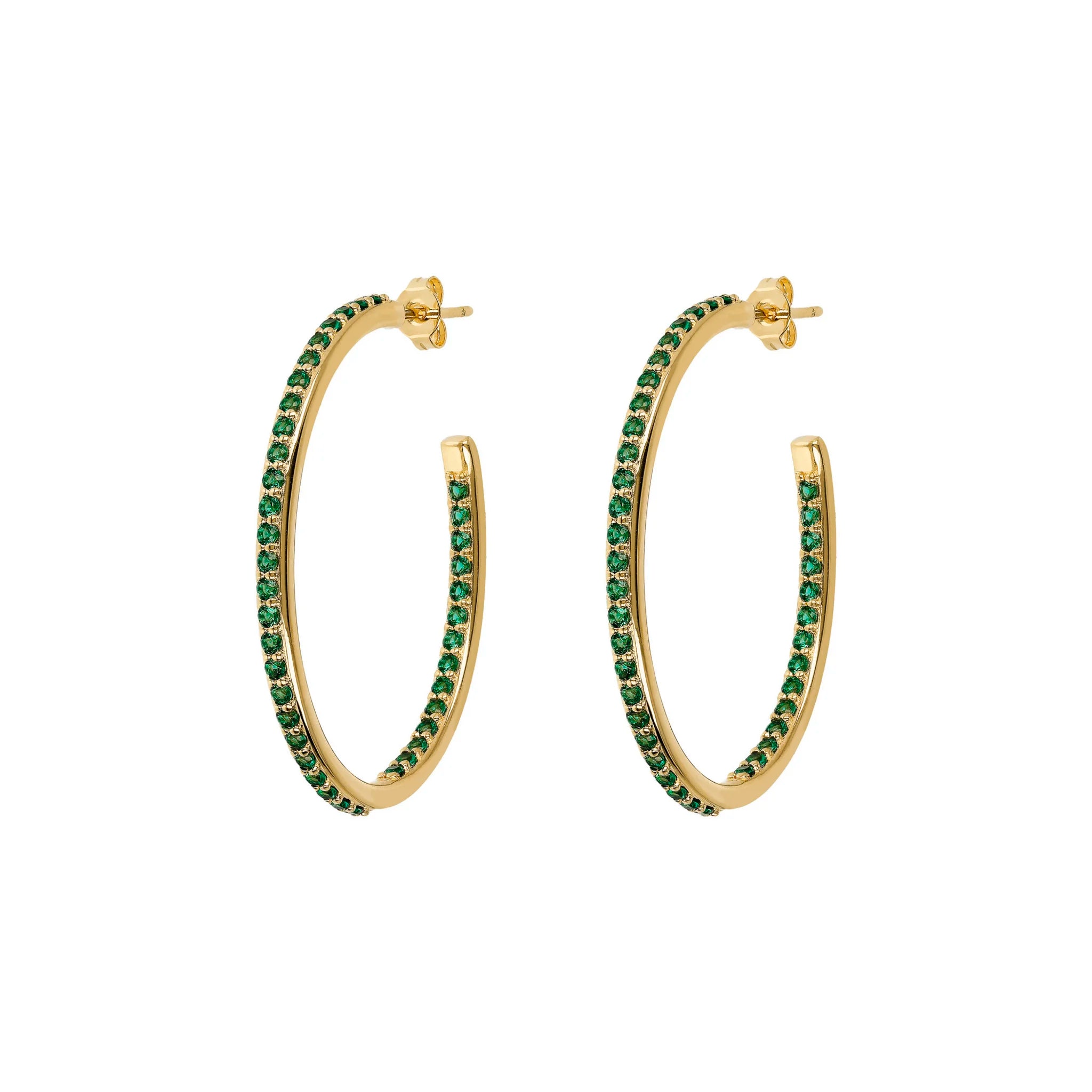 WSBZ02166Y.GREEN_1
