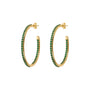 WSBZ02166Y.GREEN_1