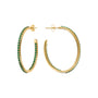 WSBZ02166Y.GREEN_3