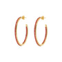 WSBZ02166Y.RED_1