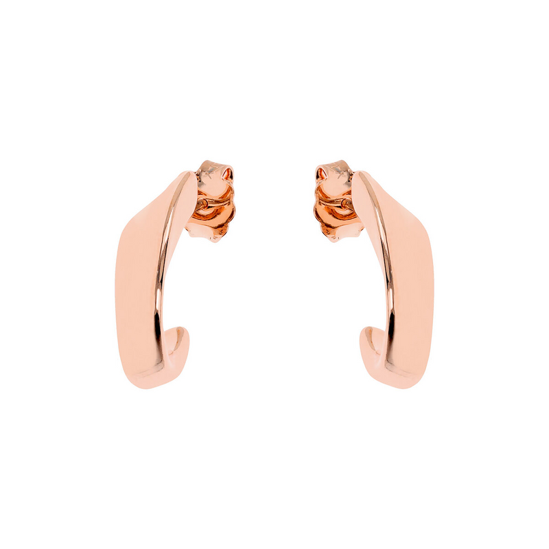 Sinuous Design Stud Earrings