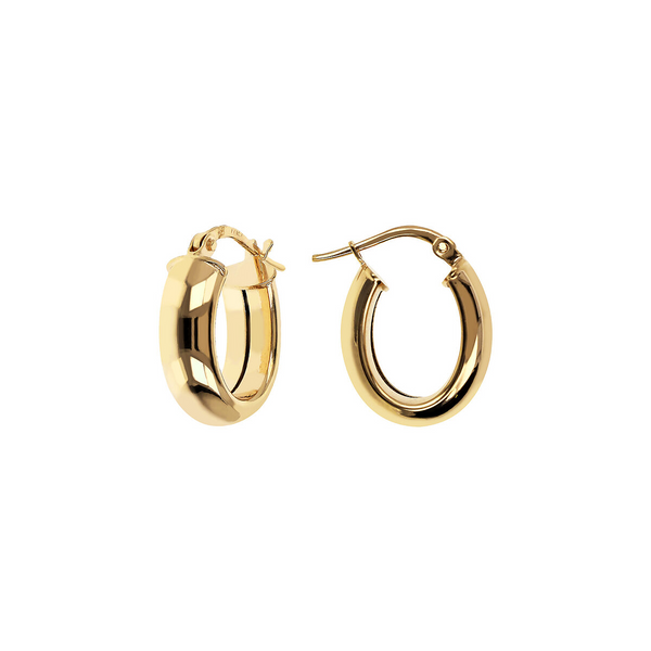 Golden Small Oval Hoop Earrings