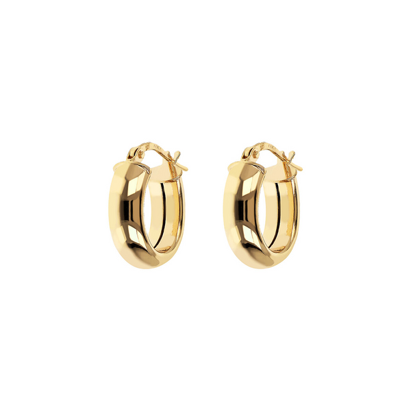 Golden Small Oval Hoop Earrings