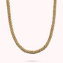 WSBZ02396Y.YG_1.webp