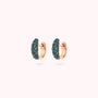 WSBZ02449.PA_1.webp