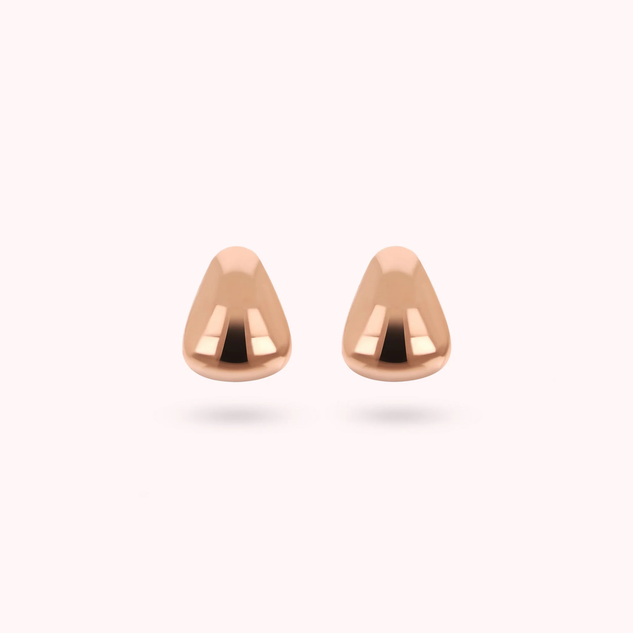 Shiny Drop Earrings