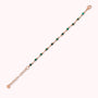WSBZ02481.AZ_3.webp